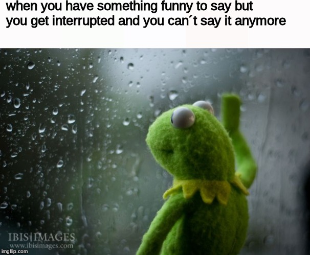 when you have something funny to say but you get interrupted and you can´t say it anymore | image tagged in kermit the frog | made w/ Imgflip meme maker