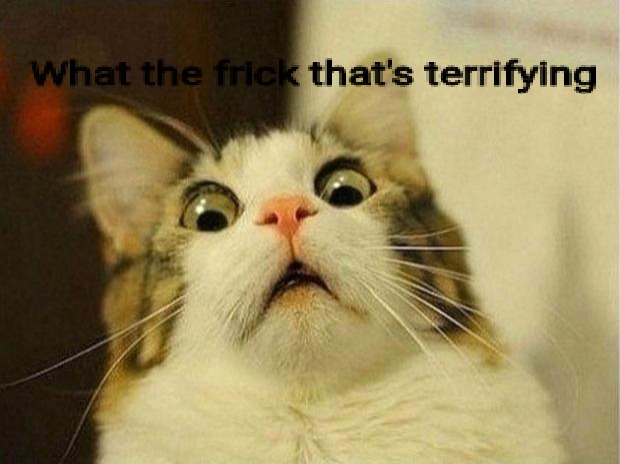Scared Cat Meme | What the frick that's terrifying | image tagged in memes,scared cat | made w/ Imgflip meme maker