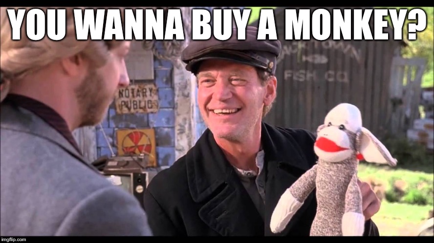 Have the london broil | YOU WANNA BUY A MONKEY? | image tagged in tubular,take care there memeys | made w/ Imgflip meme maker