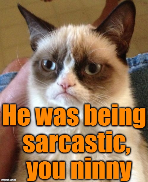 Grumpy Cat Meme | He was being sarcastic,  you ninny | image tagged in memes,grumpy cat | made w/ Imgflip meme maker