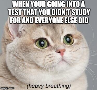 Heavy Breathing Cat Meme | WHEN YOUR GOING INTO A TEST THAT YOU DIDN'T STUDY FOR AND EVERYONE ELSE DID | image tagged in memes,heavy breathing cat | made w/ Imgflip meme maker