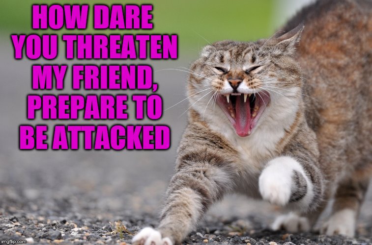 pissed cat | HOW DARE YOU THREATEN MY FRIEND, PREPARE TO BE ATTACKED | image tagged in pissed cat | made w/ Imgflip meme maker