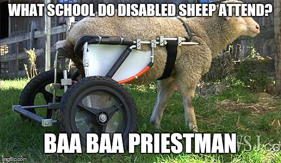 Disabled sheep | WHAT SCHOOL DO DISABLED SHEEP ATTEND? BAA BAA PRIESTMAN | image tagged in disabled sheep,memes | made w/ Imgflip meme maker