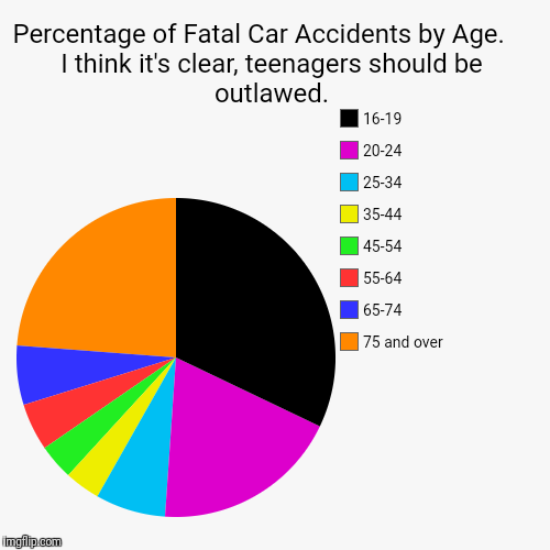 Percentage of Fatal Car Accidents by Age.     I think it's clear, teenagers should be outlawed. | 75 and over, 65-74, 55-64, 45-54, 35-44, 2 | image tagged in funny,pie charts,statistics,car accident,driving,teenagers | made w/ Imgflip chart maker