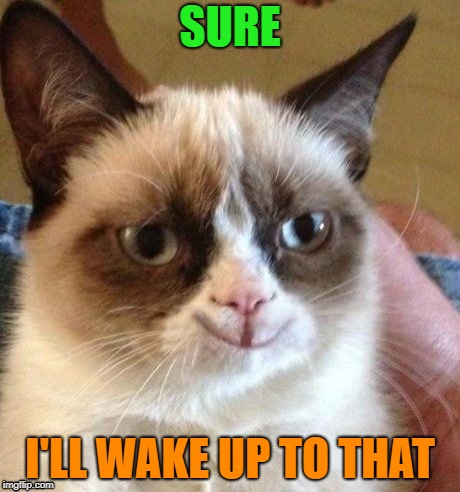 grumpy smile | SURE I'LL WAKE UP TO THAT | image tagged in grumpy smile | made w/ Imgflip meme maker