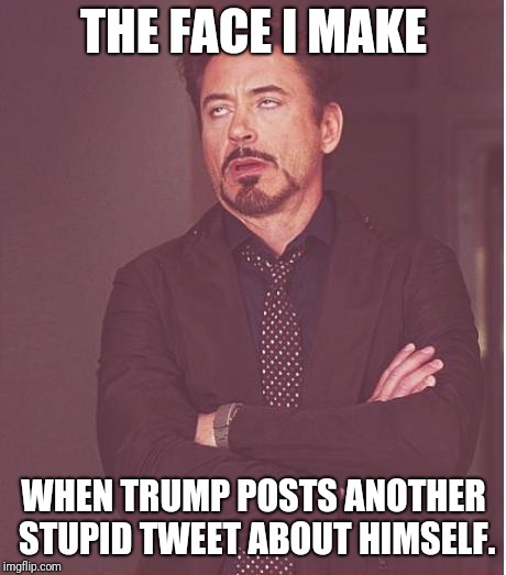Can you blame me for this one? |  THE FACE I MAKE; WHEN TRUMP POSTS ANOTHER STUPID TWEET ABOUT HIMSELF. | image tagged in memes,face you make robert downey jr,trump twitter,trump tweet,trump | made w/ Imgflip meme maker