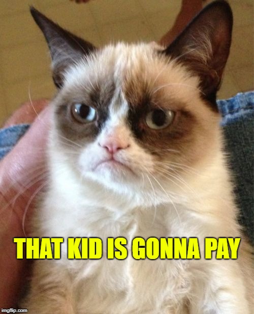 Grumpy Cat Meme | THAT KID IS GONNA PAY | image tagged in memes,grumpy cat | made w/ Imgflip meme maker