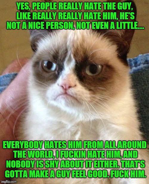 Grumpy Cat Meme | YES, PEOPLE REALLY HATE THE GUY, LIKE REALLY REALLY HATE HIM, HE'S NOT A NICE PERSON, NOT EVEN A LITTLE.... EVERYBODY HATES HIM FROM ALL ARO | image tagged in memes,grumpy cat | made w/ Imgflip meme maker