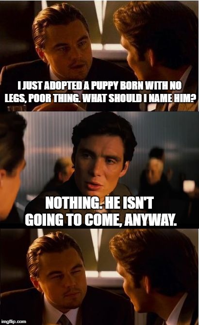 Inception | I JUST ADOPTED A PUPPY BORN WITH NO LEGS, POOR THING. WHAT SHOULD I NAME HIM? NOTHING. HE ISN'T GOING TO COME, ANYWAY. | image tagged in memes,inception | made w/ Imgflip meme maker