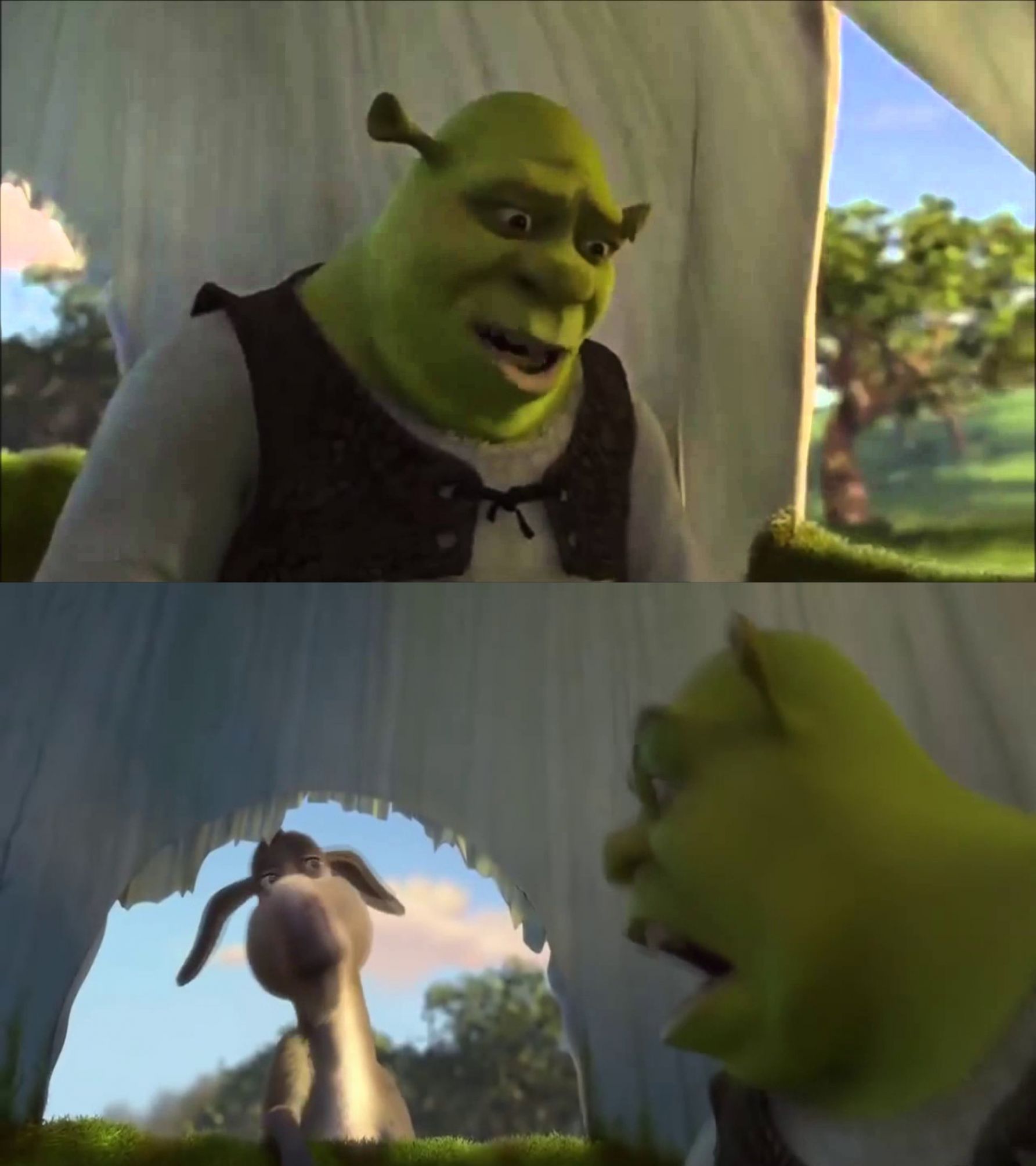 NS OWNER on X: A Shrek Meme Template for you to use! Comment the results  if you like!  / X