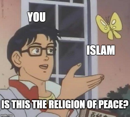 Is This A Pigeon Meme | YOU ISLAM IS THIS THE RELIGION OF PEACE? | image tagged in memes,is this a pigeon | made w/ Imgflip meme maker