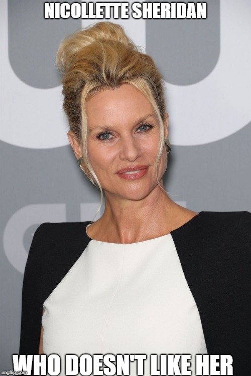 NICOLLETTE SHERIDAN; WHO DOESN'T LIKE HER | image tagged in nicollette,celebrity | made w/ Imgflip meme maker