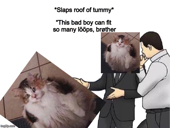 Car Salesman Slaps Hood Meme | “This bad boy can fit so many lööps, brøther; *Slaps roof of tummy* | image tagged in salesman slaps roof of | made w/ Imgflip meme maker