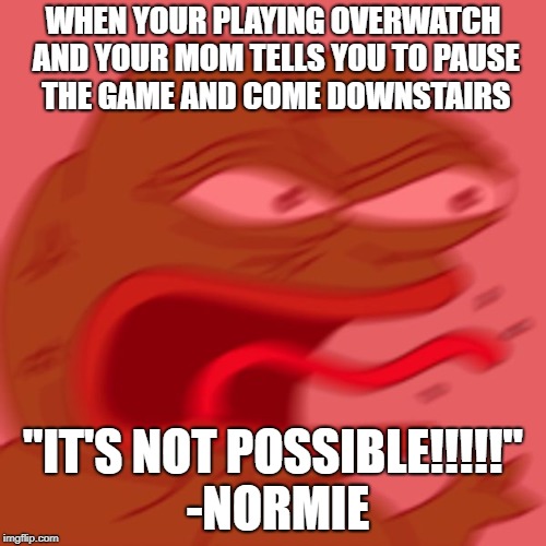 REEE NORMIES | WHEN YOUR PLAYING OVERWATCH AND YOUR MOM TELLS YOU TO PAUSE THE GAME AND COME DOWNSTAIRS; "IT'S NOT POSSIBLE!!!!!" -NORMIE | image tagged in reee normies | made w/ Imgflip meme maker