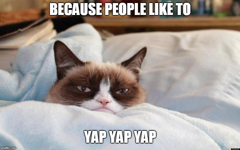 grumpy cat bed | BECAUSE PEOPLE LIKE TO YAP YAP YAP | image tagged in grumpy cat bed | made w/ Imgflip meme maker