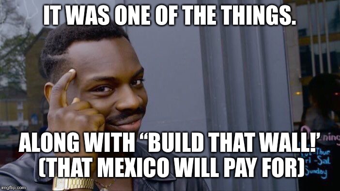Roll Safe Think About It Meme | IT WAS ONE OF THE THINGS. ALONG WITH “BUILD THAT WALL!’ (THAT MEXICO WILL PAY FOR) | image tagged in memes,roll safe think about it | made w/ Imgflip meme maker