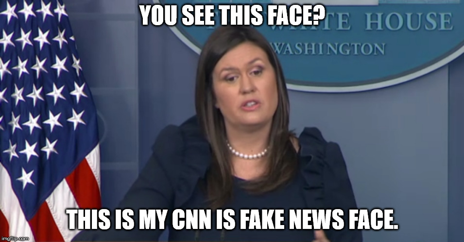 Sarah Loves CNN | YOU SEE THIS FACE? THIS IS MY CNN IS FAKE NEWS FACE. | image tagged in sarah huckabee sanders,cnn,cnn fake news | made w/ Imgflip meme maker