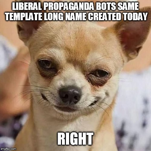 Smirking Dog | LIBERAL PROPAGANDA BOTS SAME TEMPLATE LONG NAME CREATED TODAY RIGHT | image tagged in smirking dog | made w/ Imgflip meme maker