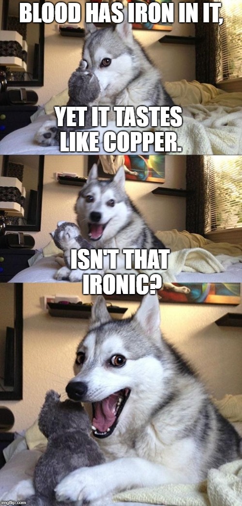 This is Bloody Fantastic! | BLOOD HAS IRON IN IT, YET IT TASTES LIKE COPPER. ISN'T THAT IRONIC? | image tagged in bad joke dog,dad joke,blood,ironic | made w/ Imgflip meme maker