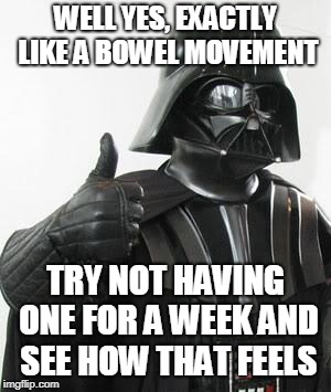 Darth vader approves | WELL YES, EXACTLY LIKE A BOWEL MOVEMENT TRY NOT HAVING ONE FOR A WEEK AND SEE HOW THAT FEELS | image tagged in darth vader approves | made w/ Imgflip meme maker