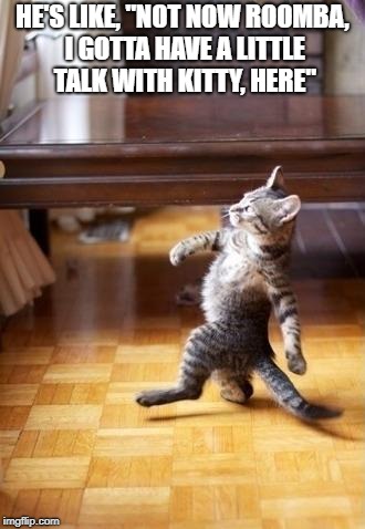 Cool Cat Stroll Meme | HE'S LIKE, "NOT NOW ROOMBA, I GOTTA HAVE A LITTLE TALK WITH KITTY, HERE" | image tagged in memes,cool cat stroll | made w/ Imgflip meme maker