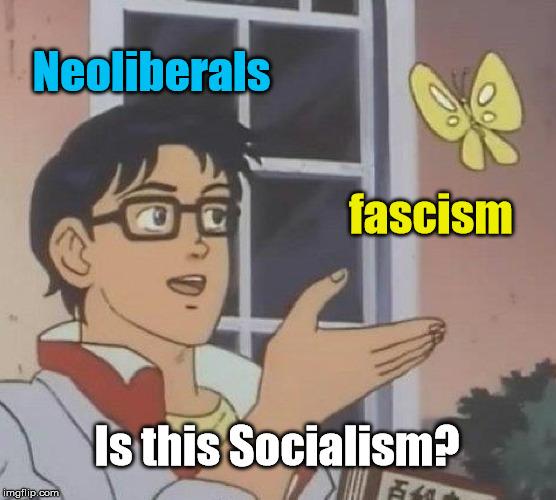 Is This A Pigeon Meme | Neoliberals; fascism; Is this Socialism? | image tagged in memes,is this a pigeon | made w/ Imgflip meme maker