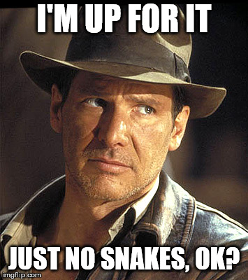 Indiana jones | I'M UP FOR IT JUST NO SNAKES, OK? | image tagged in indiana jones | made w/ Imgflip meme maker