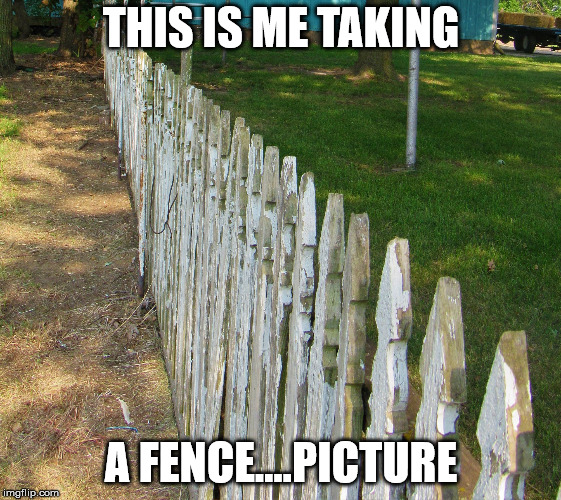 Old posts | THIS IS ME TAKING; A FENCE....PICTURE | image tagged in old posts | made w/ Imgflip meme maker