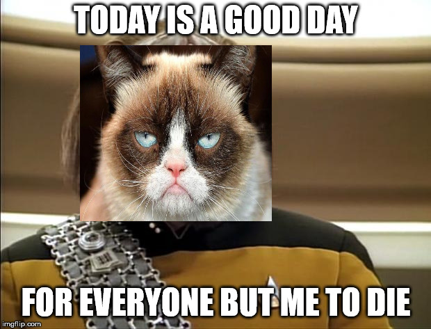 Klingon | TODAY IS A GOOD DAY; FOR EVERYONE BUT ME TO DIE | image tagged in klingon | made w/ Imgflip meme maker