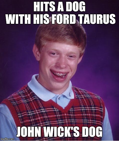 Oh. | HITS A DOG WITH HIS FORD TAURUS; JOHN WICK'S DOG | image tagged in memes,bad luck brian | made w/ Imgflip meme maker