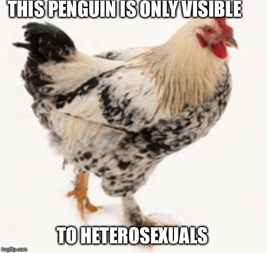 The penguin test. | THIS PENGUIN IS ONLY VISIBLE; TO HETEROSEXUALS | image tagged in sexuality,socially awkward penguin,gay,lars ulrich | made w/ Imgflip meme maker