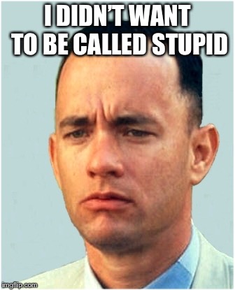 Gumpith gump forrest | I DIDN’T WANT TO BE CALLED STUPID | image tagged in gumpith gump forrest | made w/ Imgflip meme maker