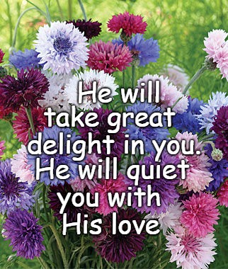 Bible Quote He Will Take Great Delight In You | He will; take great; delight in you. He will quiet; you with; His love | image tagged in bible,holy bible,holy spirit,bible verse,verse,god | made w/ Imgflip meme maker