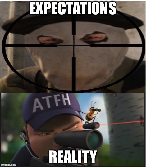 Bee Movie and CS:GO | EXPECTATIONS; REALITY | image tagged in bee movie and csgo | made w/ Imgflip meme maker