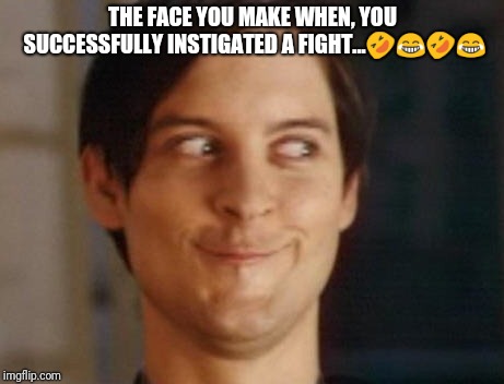 Spiderman Peter Parker | THE FACE YOU MAKE WHEN, YOU SUCCESSFULLY INSTIGATED A FIGHT...🤣😂🤣😂 | image tagged in memes,spiderman peter parker | made w/ Imgflip meme maker