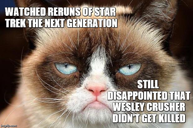 Grumpy Cat Not Amused |  WATCHED RERUNS OF STAR TREK THE NEXT GENERATION; STILL DISAPPOINTED THAT WESLEY CRUSHER DIDN'T GET KILLED | image tagged in memes,grumpy cat not amused,grumpy cat,star trek the next generation,star trek red shirts,wesley crusher | made w/ Imgflip meme maker