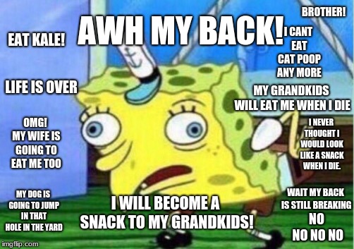 Mocking Spongebob | AWH MY BACK! BROTHER! I CANT EAT CAT POOP ANY MORE; EAT KALE! MY GRANDKIDS WILL EAT ME WHEN I DIE; LIFE IS OVER; OMG! MY WIFE IS GOING TO EAT ME TOO; I NEVER THOUGHT I WOULD LOOK LIKE A SNACK WHEN I DIE. I WILL BECOME A SNACK TO MY GRANDKIDS! MY DOG IS GOING TO JUMP IN THAT HOLE IN THE YARD; WAIT MY BACK IS STILL BREAKING; NO NO NO NO | image tagged in memes,mocking spongebob | made w/ Imgflip meme maker