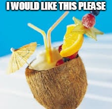 PINA COLADA | I WOULD LIKE THIS PLEASE | image tagged in pina colada | made w/ Imgflip meme maker