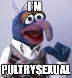 gonzo | I’M PULTRYSEXUAL | image tagged in gonzo | made w/ Imgflip meme maker