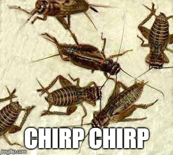 Crickets | CHIRP CHIRP | image tagged in crickets | made w/ Imgflip meme maker
