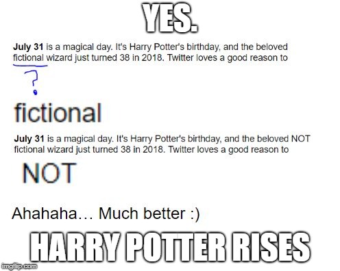 YES. HARRY POTTER RISES | image tagged in what did you say about harry potter | made w/ Imgflip meme maker