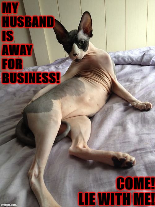 MY HUSBAND IS AWAY FOR BUSINESS! COME! LIE WITH ME! | image tagged in jezebel | made w/ Imgflip meme maker