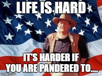 John Wayne American Flag | LIFE IS HARD; IT'S HARDER IF YOU ARE PANDERED TO.... | image tagged in john wayne american flag | made w/ Imgflip meme maker