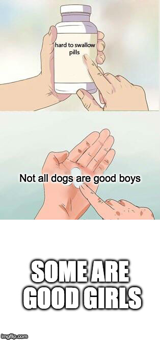 who's a good girl | Not all dogs are good boys; SOME ARE GOOD GIRLS | image tagged in memes,dog,good boy | made w/ Imgflip meme maker