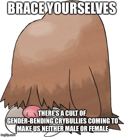 BRACE YOURSELVES; THERE'S A CULT OF GENDER-BENDING CRYBULLIES COMING TO MAKE US NEITHER MALE OR FEMALE | image tagged in pokemon brace yourself | made w/ Imgflip meme maker