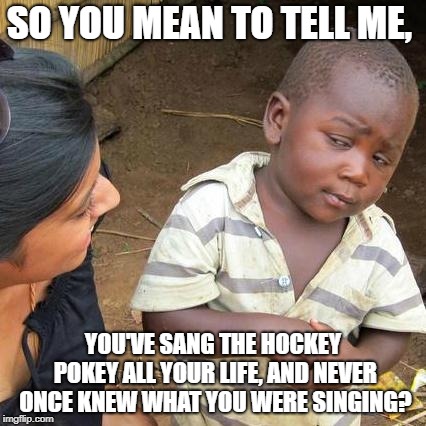Third World Skeptical Kid | SO YOU MEAN TO TELL ME, YOU'VE SANG THE HOCKEY POKEY ALL YOUR LIFE, AND NEVER ONCE KNEW WHAT YOU WERE SINGING? | image tagged in memes,third world skeptical kid | made w/ Imgflip meme maker