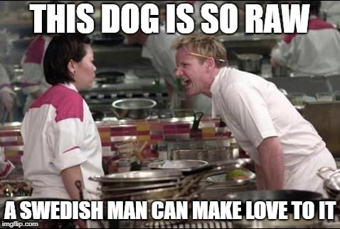 Angry Chef Gordon Ramsay Meme | THIS DOG IS SO RAW; A SWEDISH MAN CAN MAKE LOVE TO IT | image tagged in memes,angry chef gordon ramsay | made w/ Imgflip meme maker