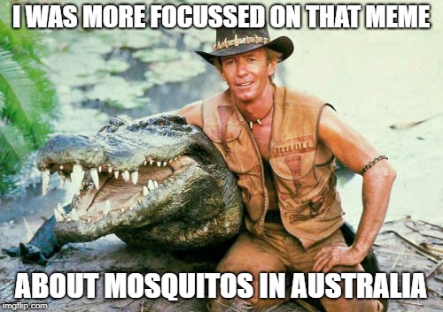 Crocodile Dundee Paul Hogan | I WAS MORE FOCUSSED ON THAT MEME ABOUT MOSQUITOS IN AUSTRALIA | image tagged in crocodile dundee paul hogan | made w/ Imgflip meme maker