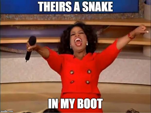 Oprah You Get A | THEIRS A SNAKE; IN MY BOOT | image tagged in memes,oprah you get a | made w/ Imgflip meme maker