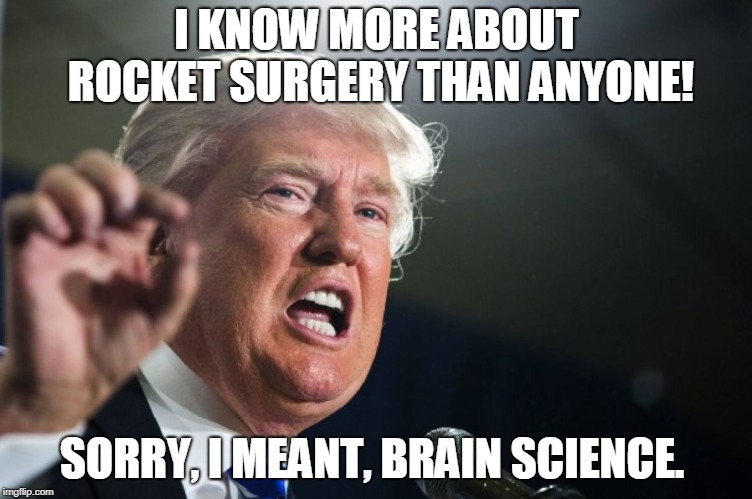 donald trump | I KNOW MORE ABOUT ROCKET SURGERY THAN ANYONE! SORRY, I MEANT, BRAIN SCIENCE. | image tagged in donald trump | made w/ Imgflip meme maker